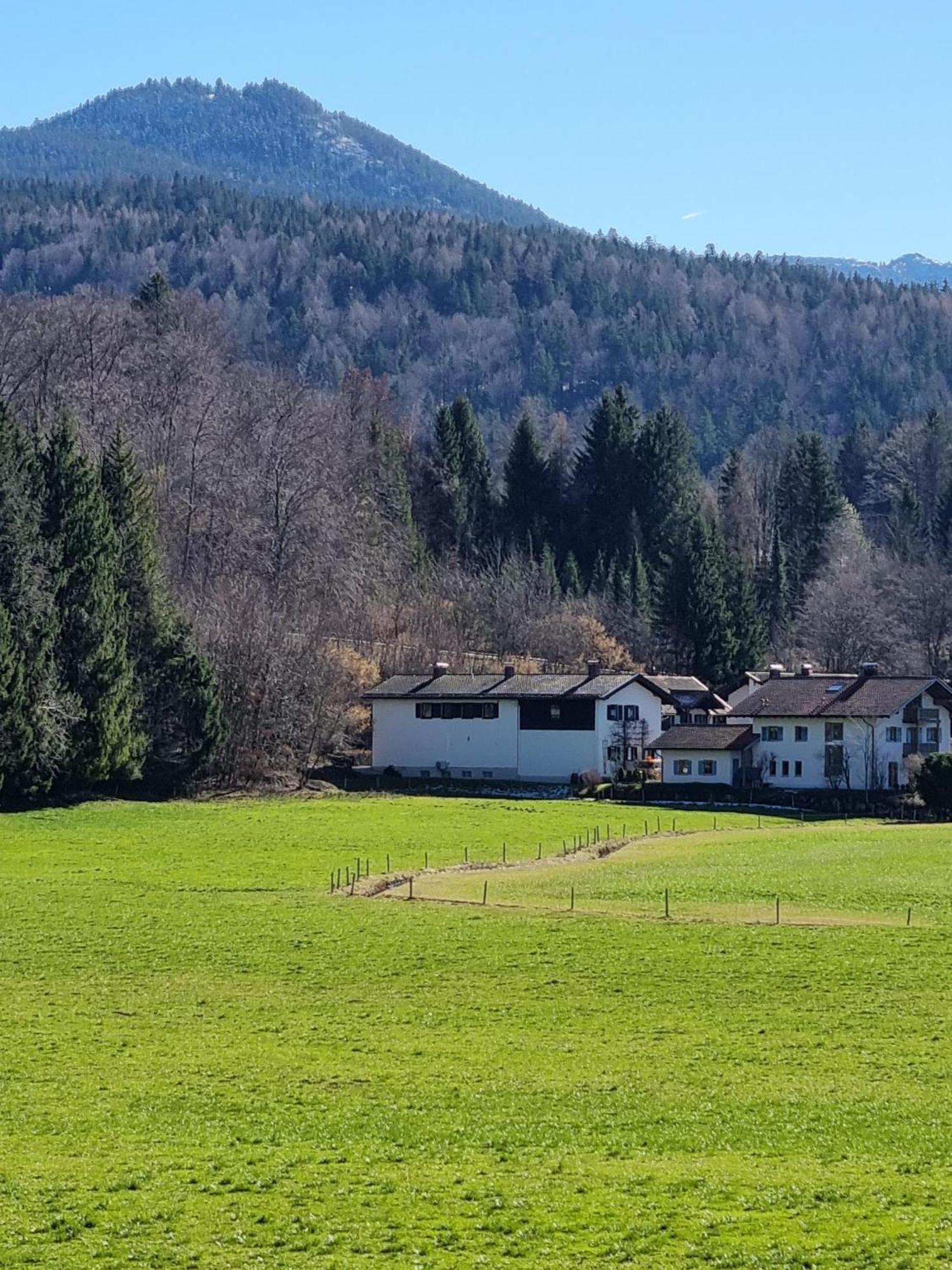 Ferienwohnungen Am Alpenrand Siegsdorf Eksteriør billede