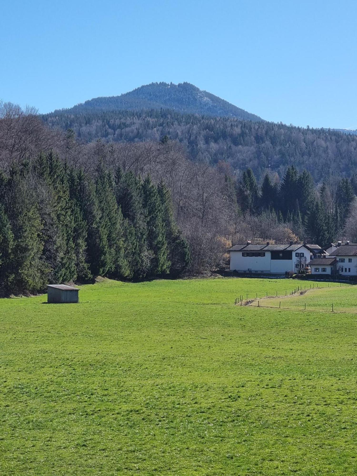 Ferienwohnungen Am Alpenrand Siegsdorf Eksteriør billede