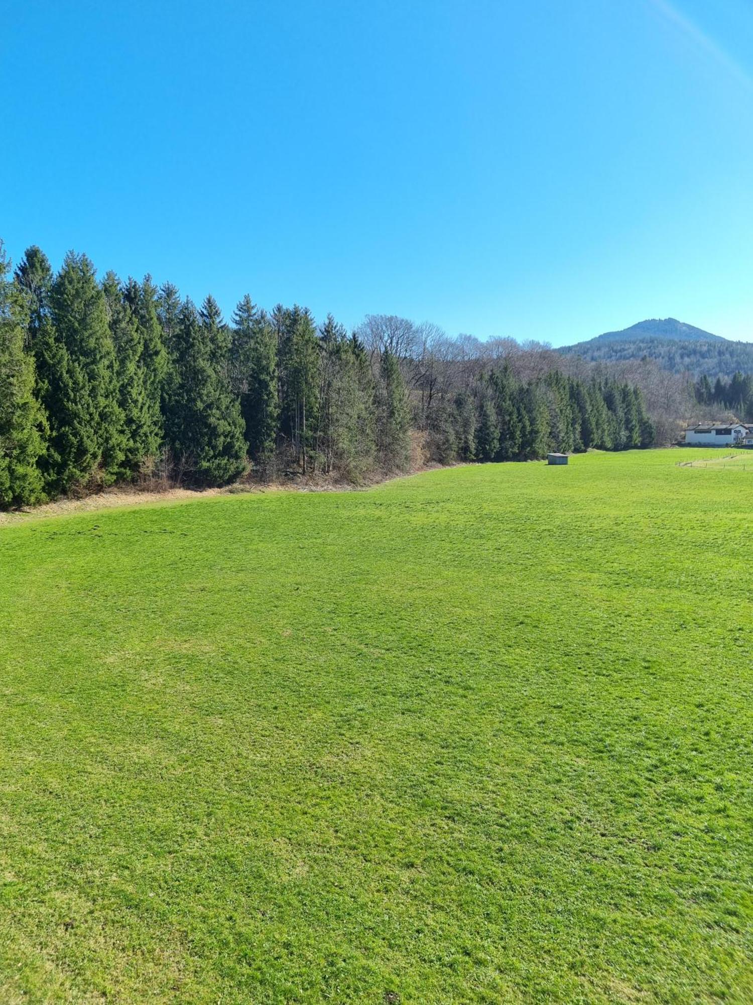 Ferienwohnungen Am Alpenrand Siegsdorf Eksteriør billede